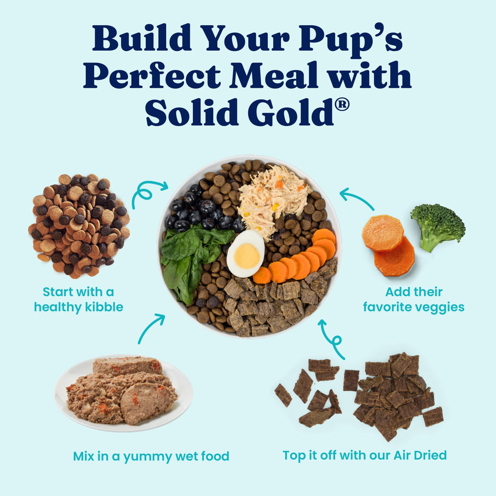 Solid Gold food-pouring-into-bowl demonstrates easy serving and complete meals.