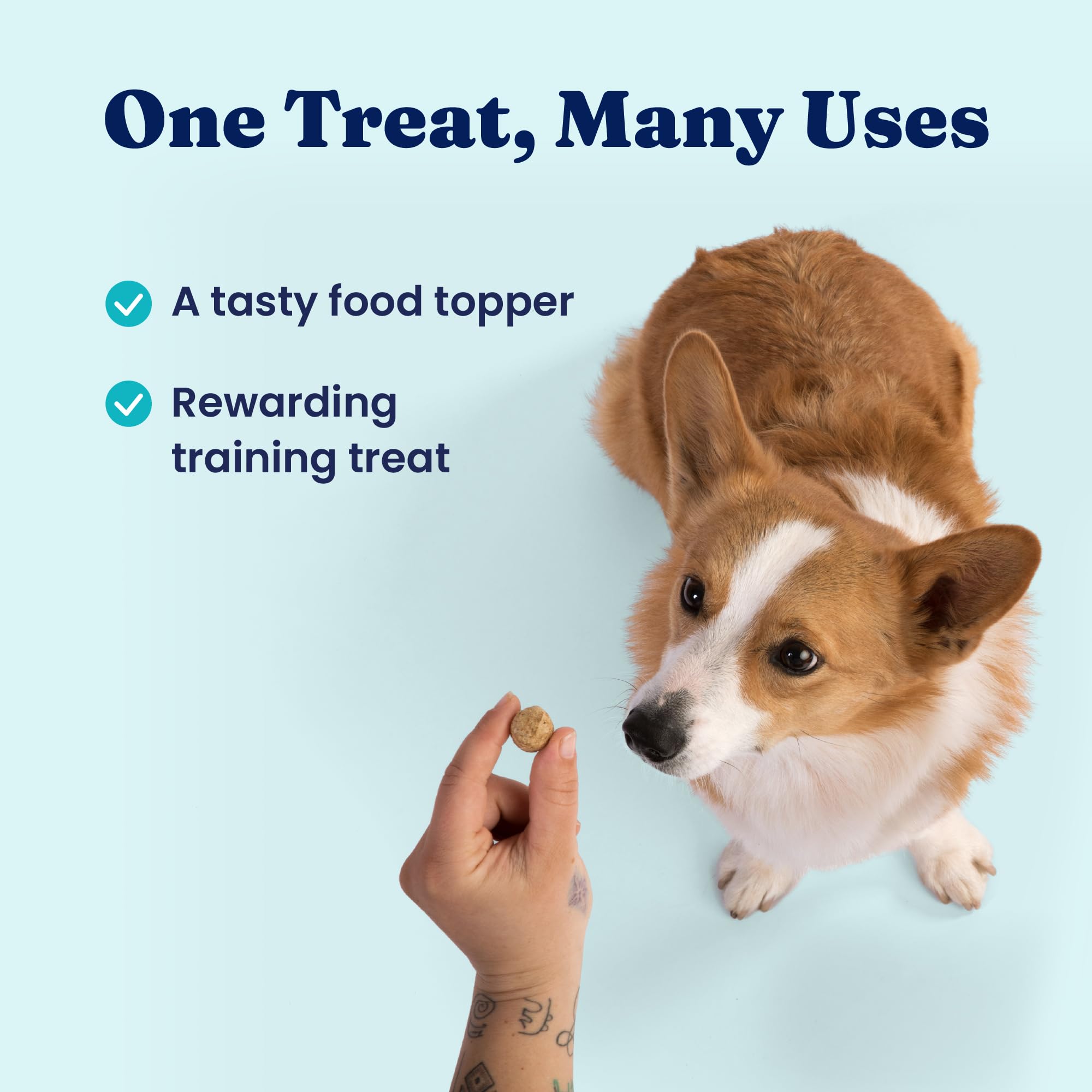 Solid Gold Freeze Dried Dog Food Topper suits puppies and large breeds for easy meal integration