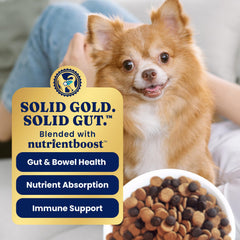 Solid Gold grain-free gluten-free formula designed for dogs with sensitivities.