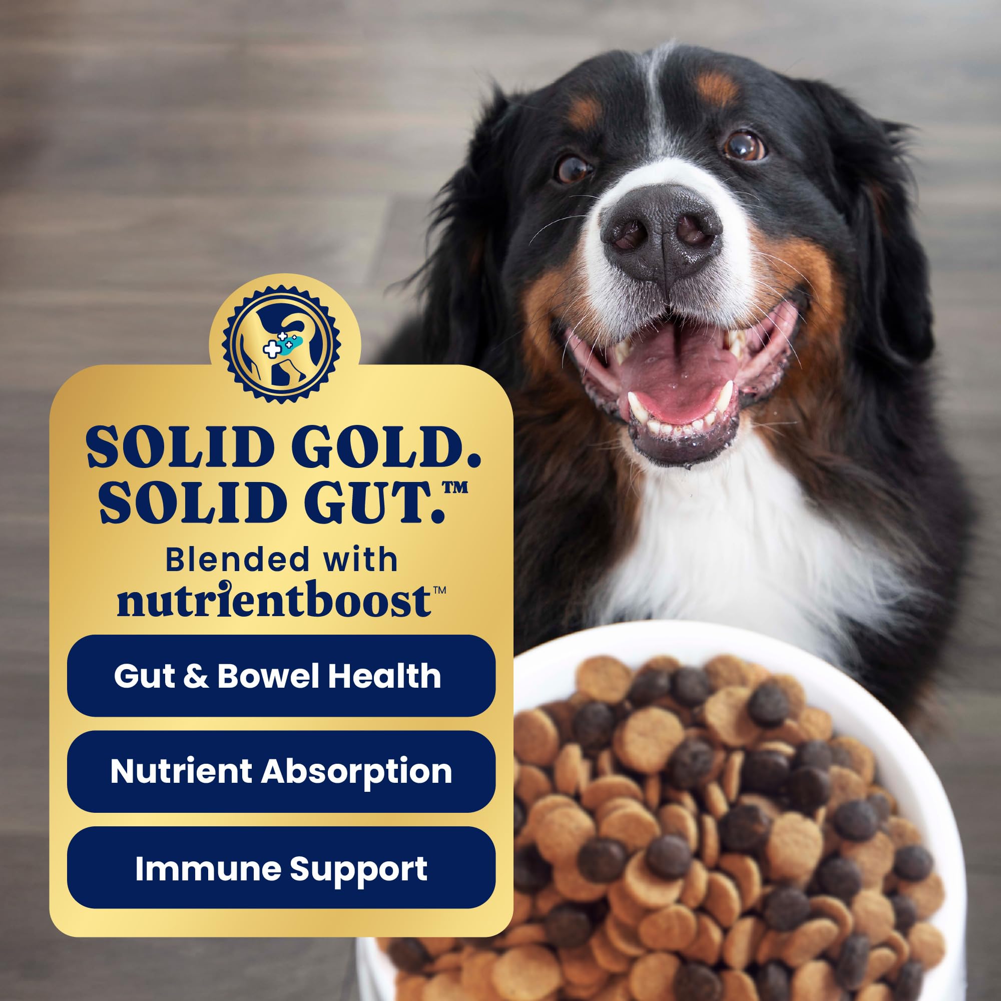Solid Gold grain-free kibble visual emphasizes gluten-free recipe for sensitive stomachs.