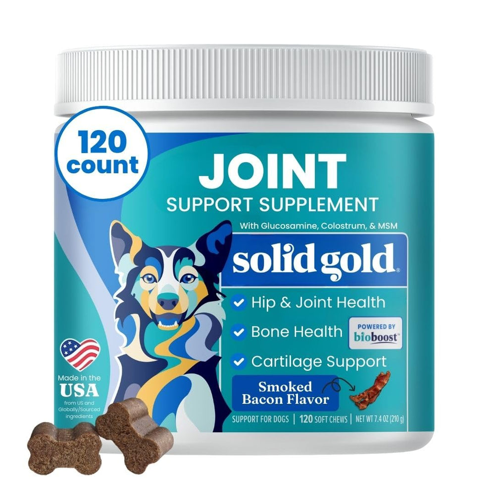 Solid Gold hip joint chews with bacon flavor boost mobility for dogs.
