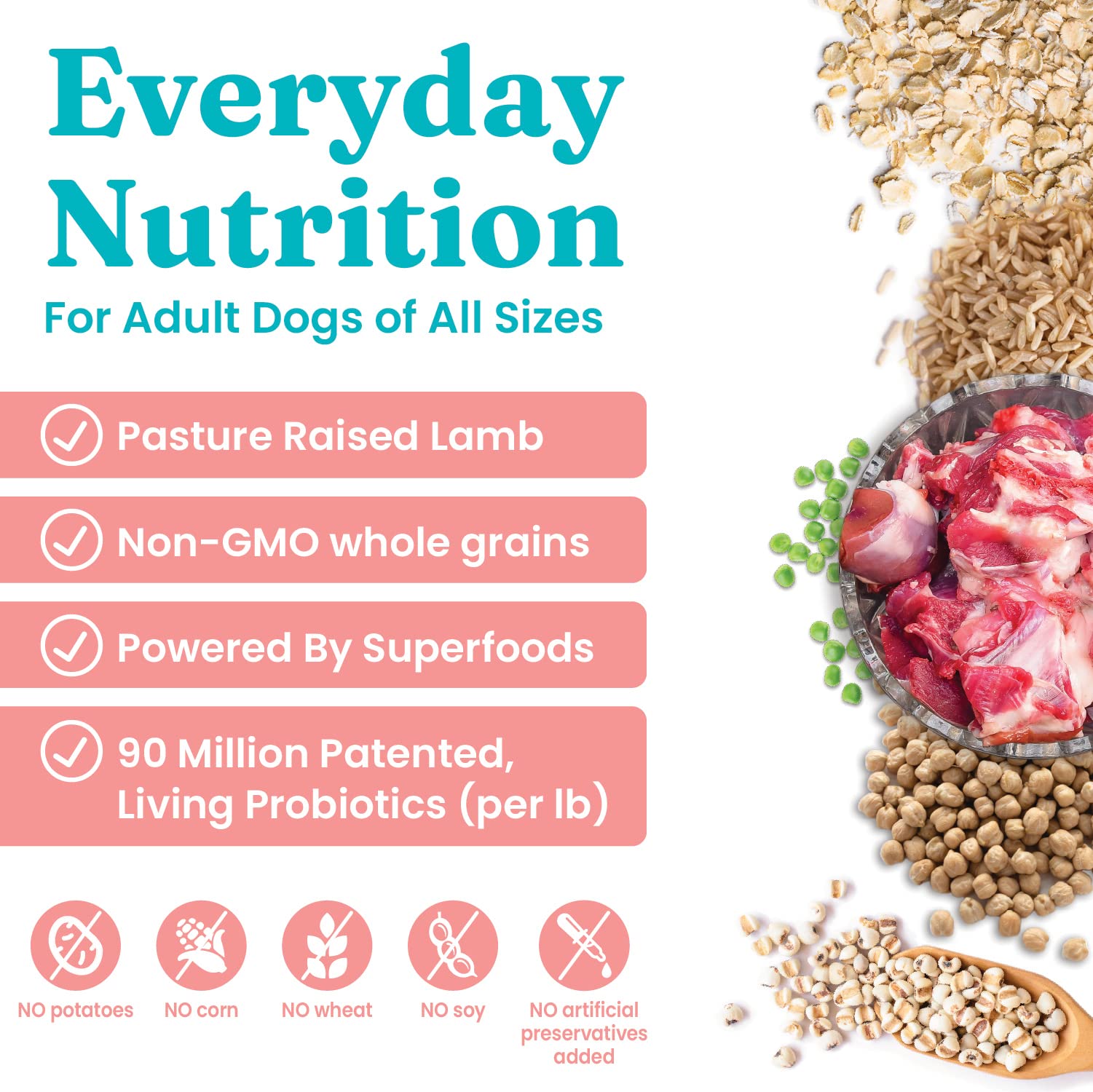 Solid Gold Hund-N-Flocken kibble closeup shows texture and wholesome ingredients for balanced meals