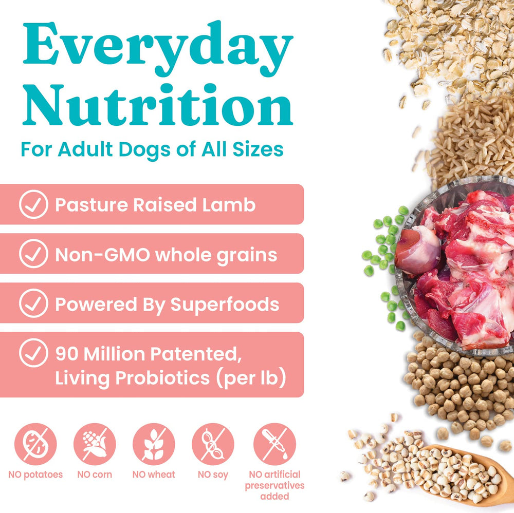 Solid Gold Hund-N-Flocken kibble closeup shows texture and wholesome ingredients for balanced meals