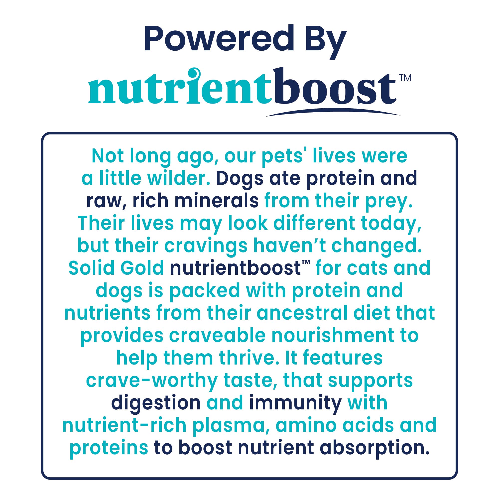 Solid Gold Hund-N-Flocken omega-fats image showcases coat-friendly nutrition for dogs.