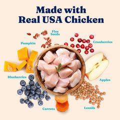 Solid Gold Indoor Dry Cat Food kibble close-up highlighting grain-free texture