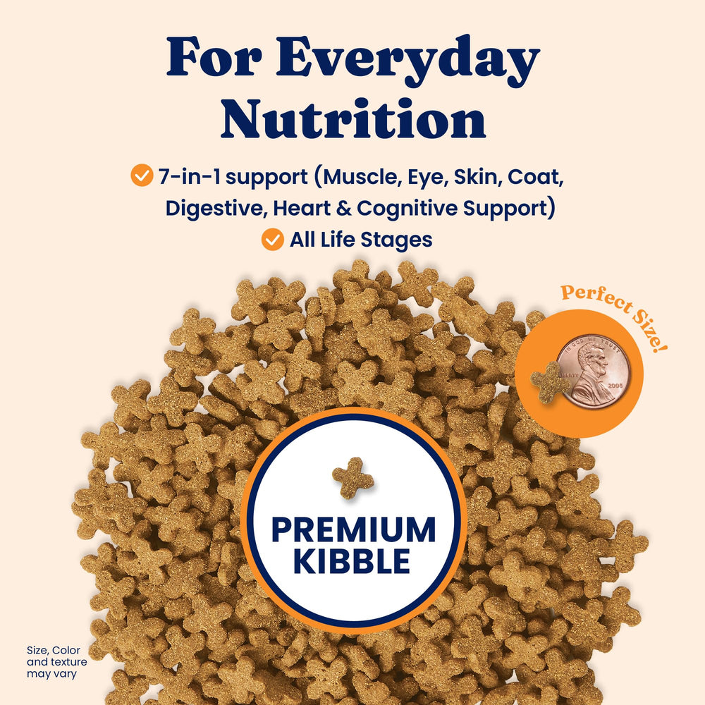 Solid Gold Katz-N-Flocken kibble in a bowl highlights balanced nutrition for multi-cat homes.