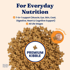Solid Gold Katz-N-Flocken kibble in a bowl highlights balanced nutrition for multi-cat homes.
