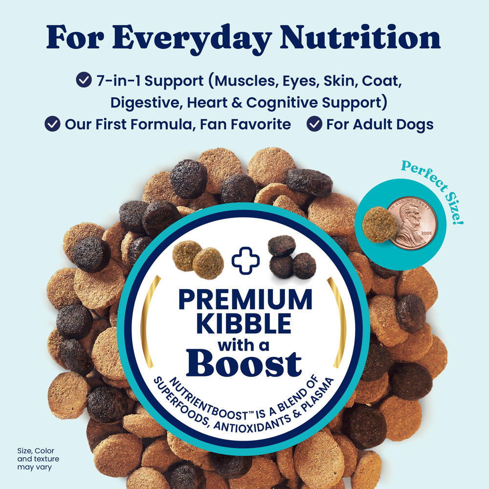 Solid Gold Lamb kibble pour demonstrates easy serving and gut-friendly digestion support.
