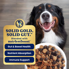 Solid Gold probiotic bottle emphasizes probiotics for digestive balance and immune support.