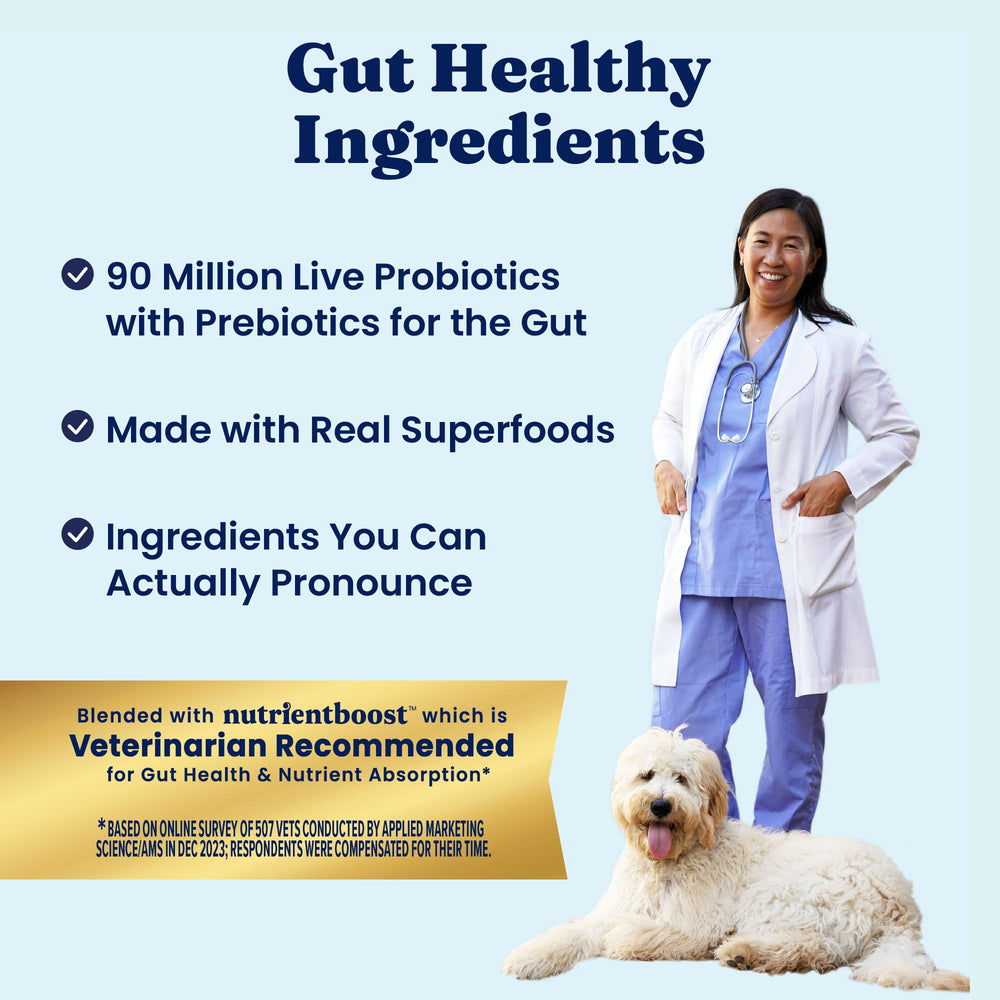 Solid Gold whole grain kibble concept shows energy-sustaining nutrition with no fillers.