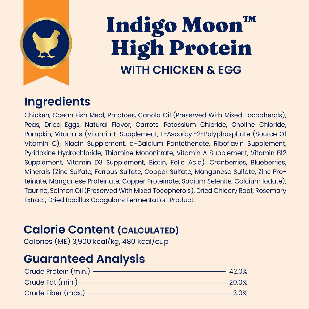 Solid Gold mealtime scene with protein-rich grain-free kibble.