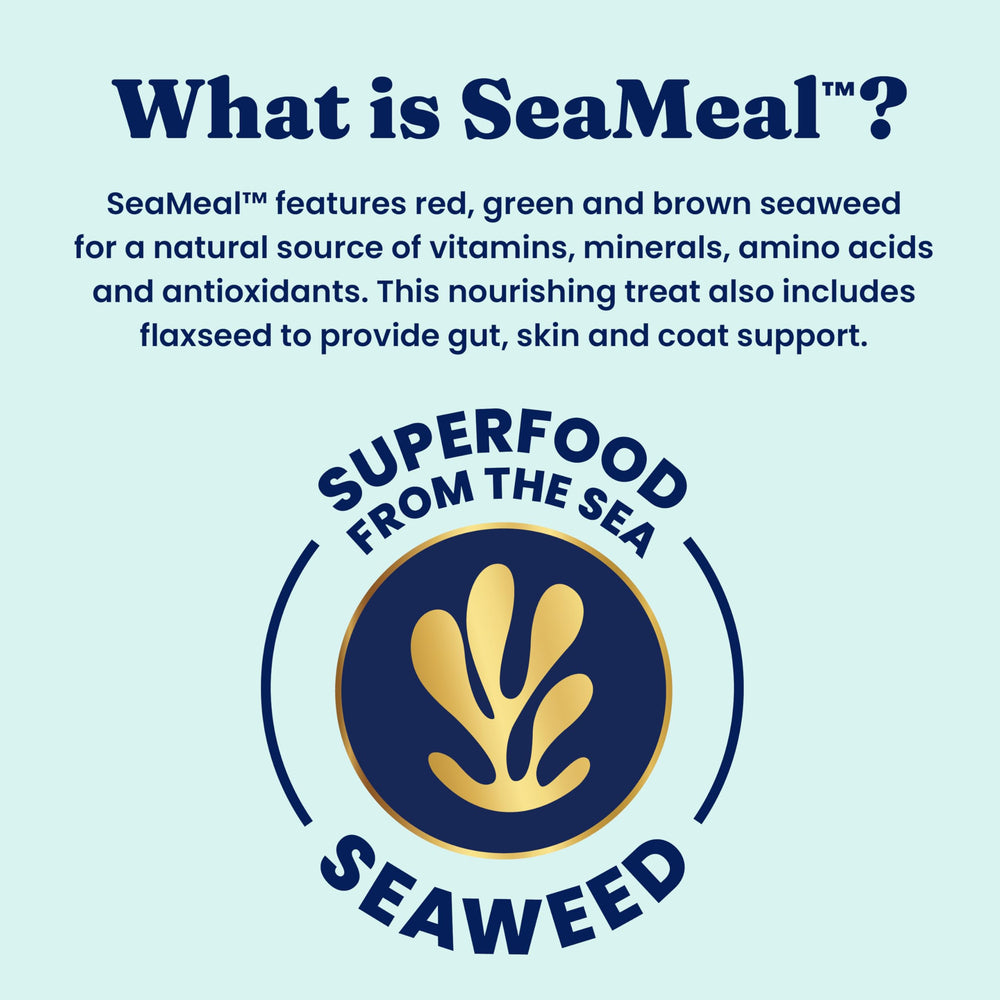 Solid Gold no-artificial-colors-flavors-preservatives label emphasizes grain-free, high-moisture formula.