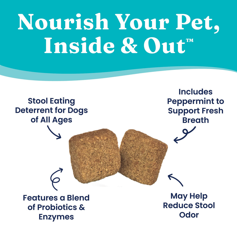 Solid Gold No Poo Chews ingredient panel lists peppermint, parsley oil, and probiotics.