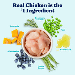 Solid Gold Omega-3 dog food highlights shiny coat and healthy skin.