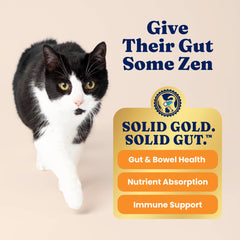 Solid Gold probiotic gut-health kibble promoting healthy digestion.
