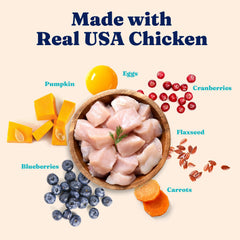 Solid Gold probiotics gut-health cat food bowl showing prebiotics support.