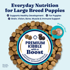 Solid Gold puppy food with whole grains aids digestion and gut health.