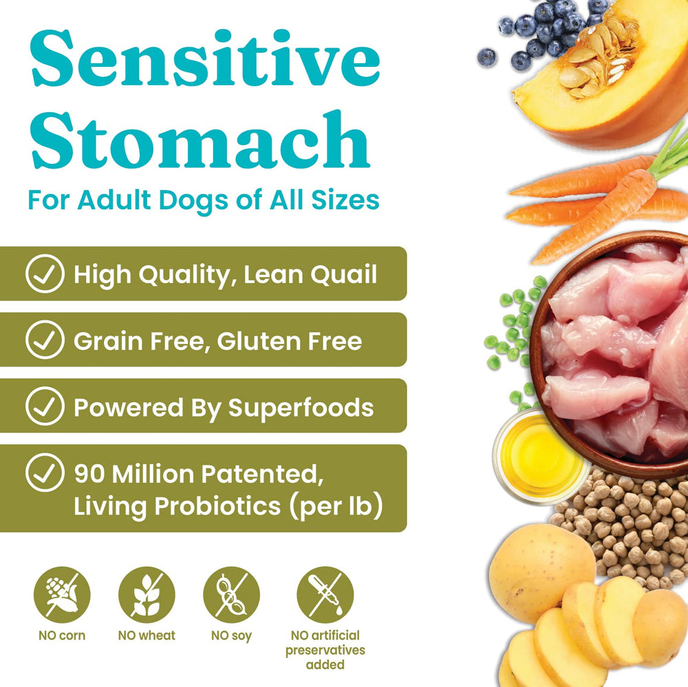 Solid Gold quail-protein dog food close-up shows lean protein for sensitive stomachs