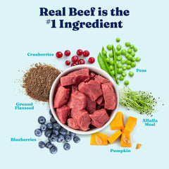 Solid Gold real-beef dog food can close-up highlights lean muscle support.