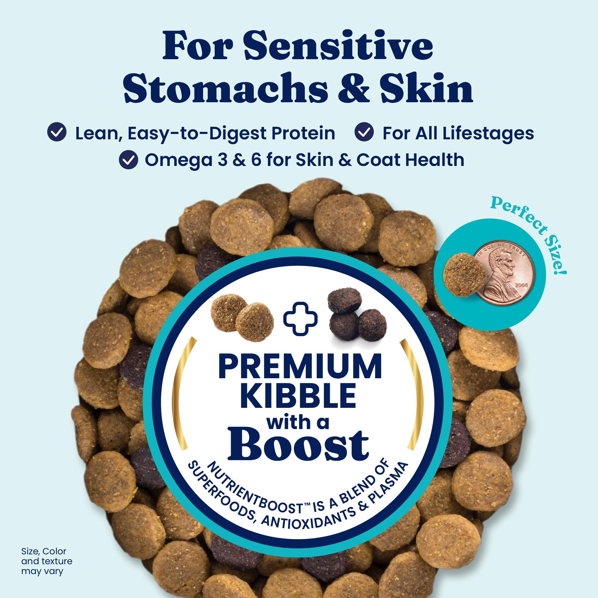 Solid Gold salmon dog food bowl ready for digestion-friendly meals