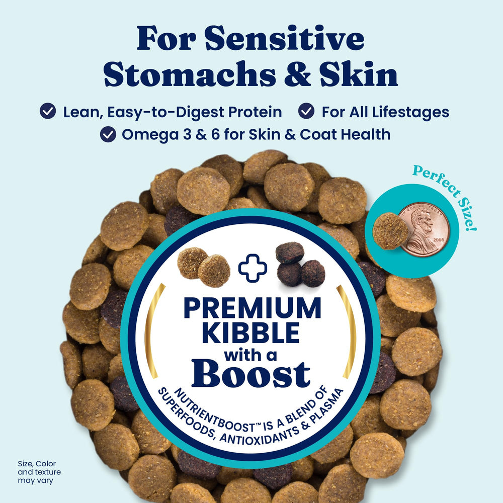 Solid Gold salmon dog food bowl ready for digestion-friendly meals