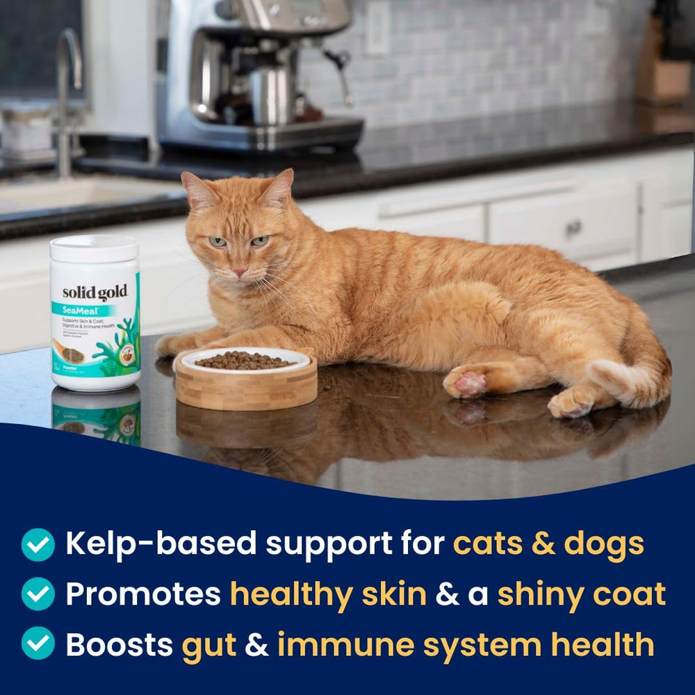 Solid Gold SeaMeal dog bowl topper supports digestion and immune wellness.