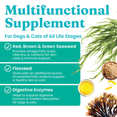 Solid Gold SeaMeal dog chews close-up emphasizes omega-3 rich formula for coat health.