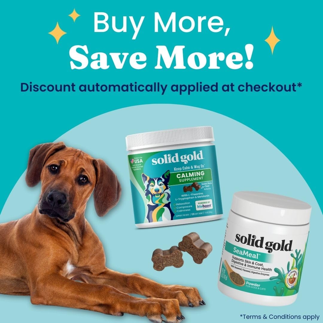 Solid Gold SeaMeal powder on meal demonstrates digestive support and nutrient absorption.