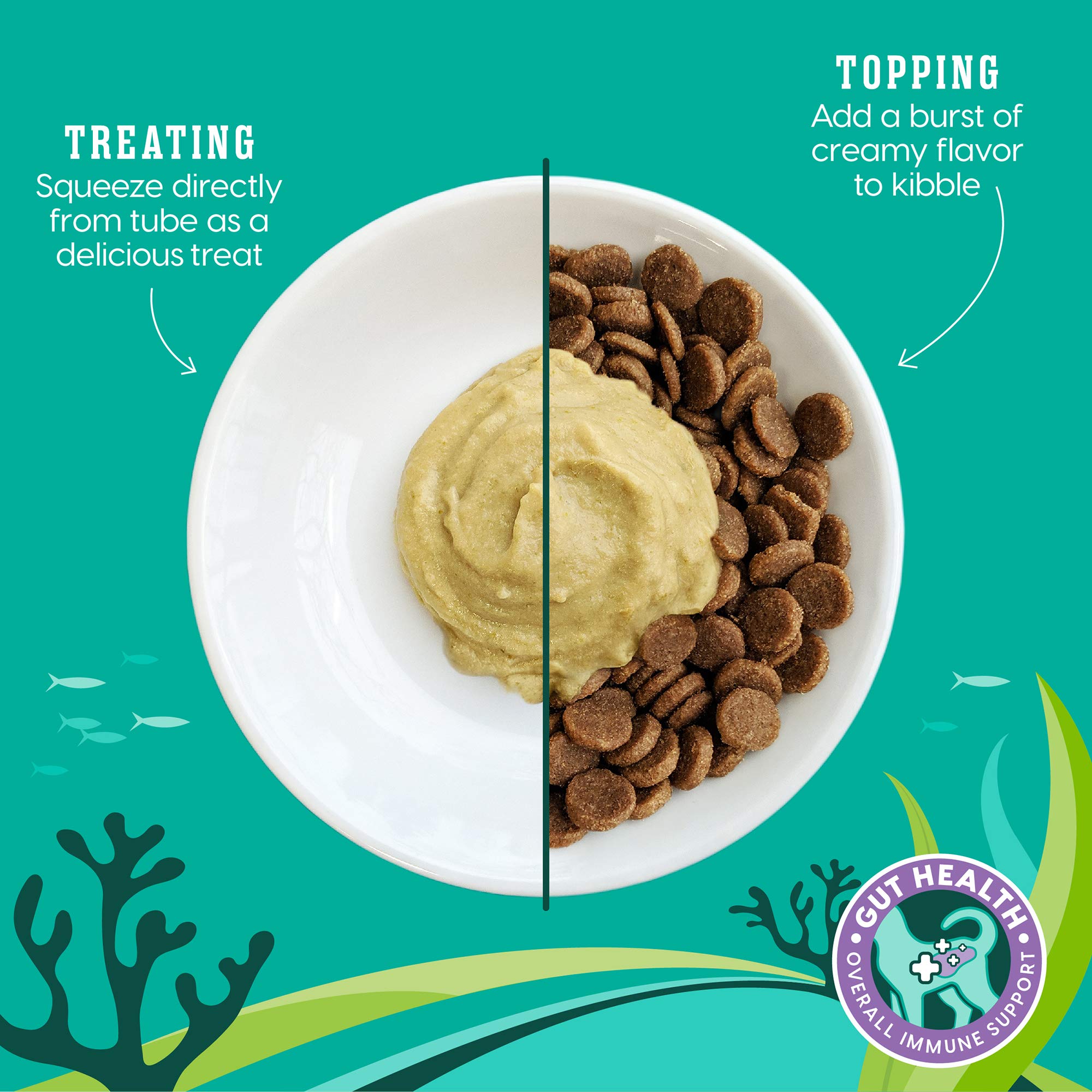 Solid Gold SeaMeal Seaweed Bundle highlighting Earth's original superfood for gut and immune support.