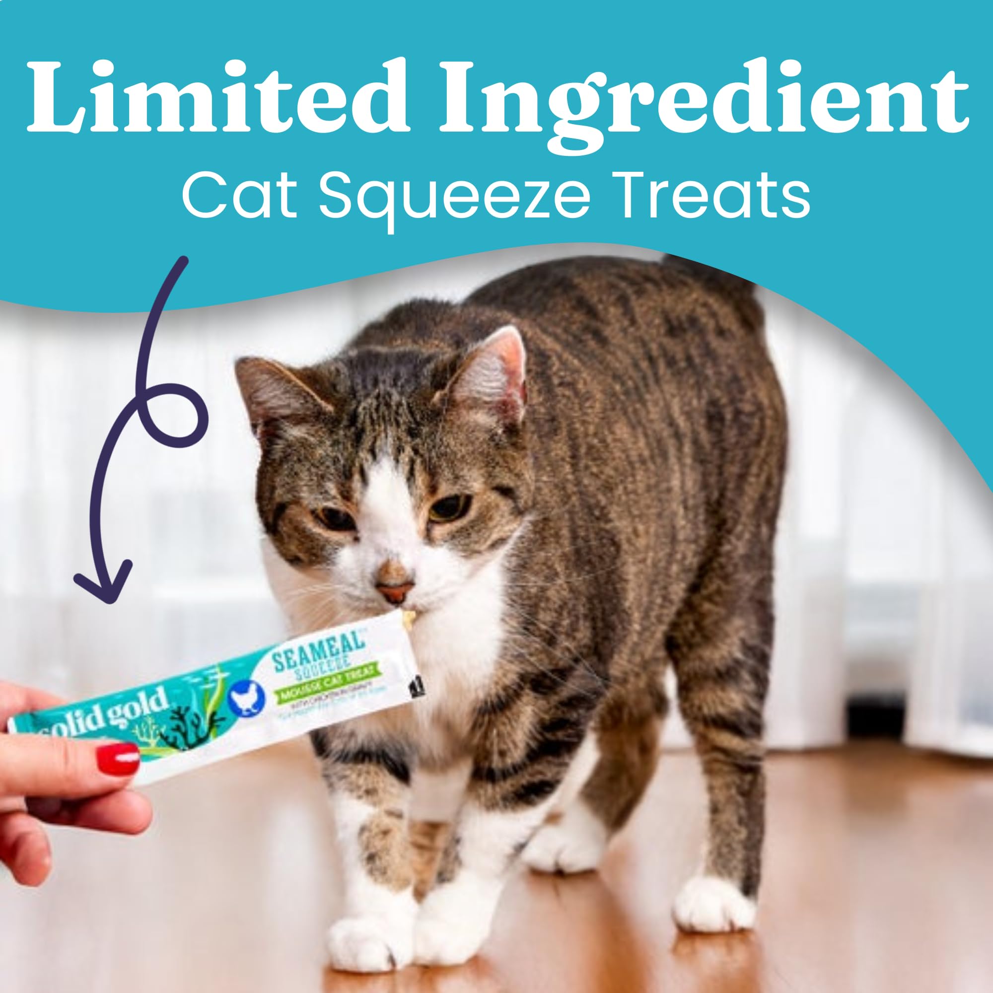 Solid Gold SeaMeal Tuna Treat Closeup Creamy Texture ideal as treat or meal topper.