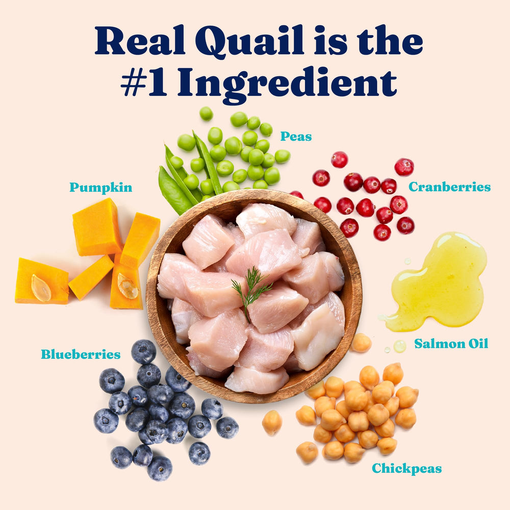 Solid Gold Sensitive Stomach omega-fatty-acids image hints coat health and vitality.