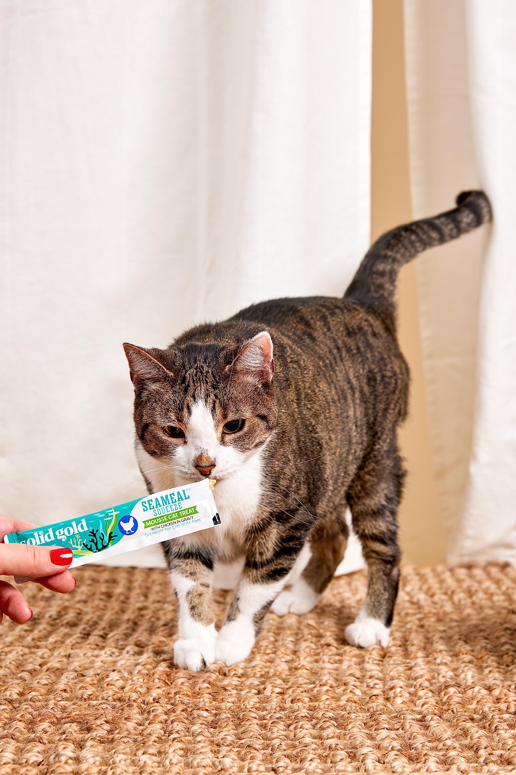 Solid Gold squeeze-tube treats are convenient for kittens and busy households.