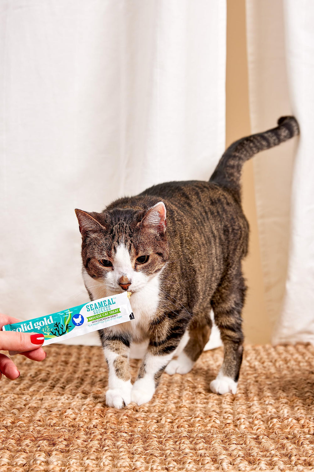 Solid Gold squeeze-tube treats are convenient for kittens and busy households.