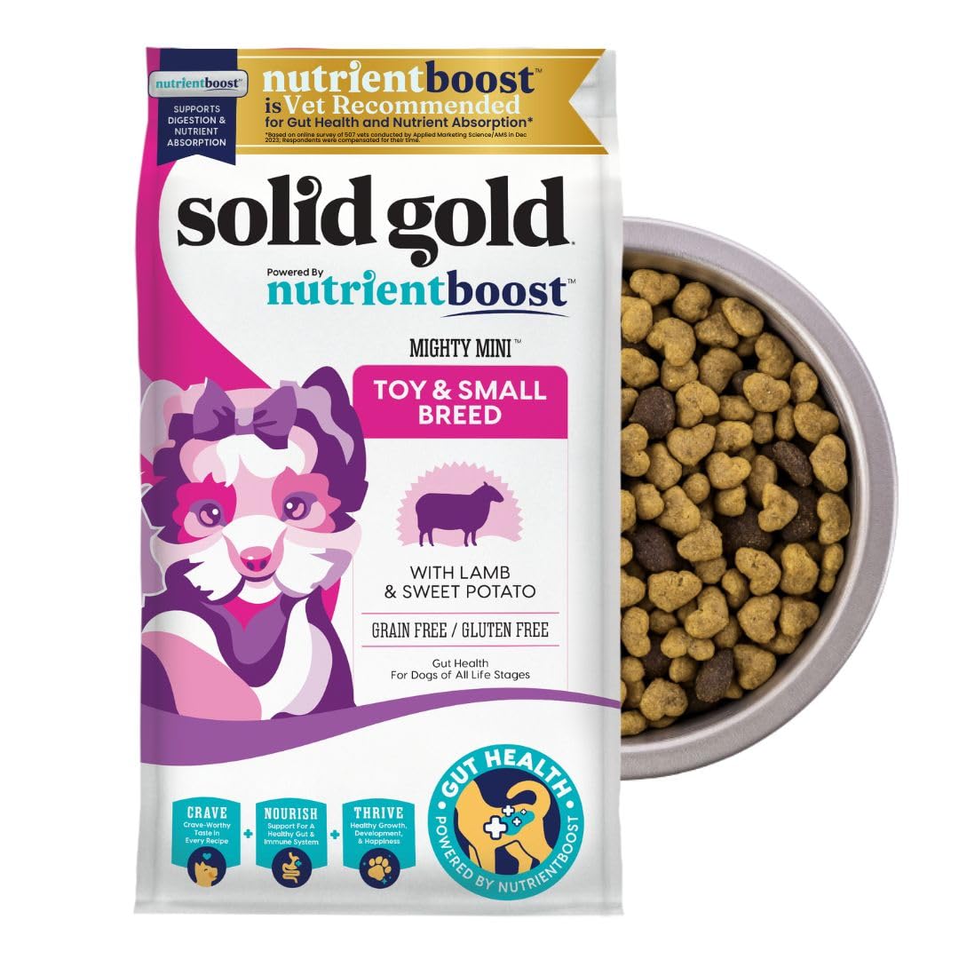 Solid Gold toy small-breed-dry-dog-food bowl easy to chew bites for tiny breeds.