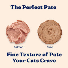 Solid Gold Tropical Blendz Salmon Pate can—freshness-ready packaging for all life stages