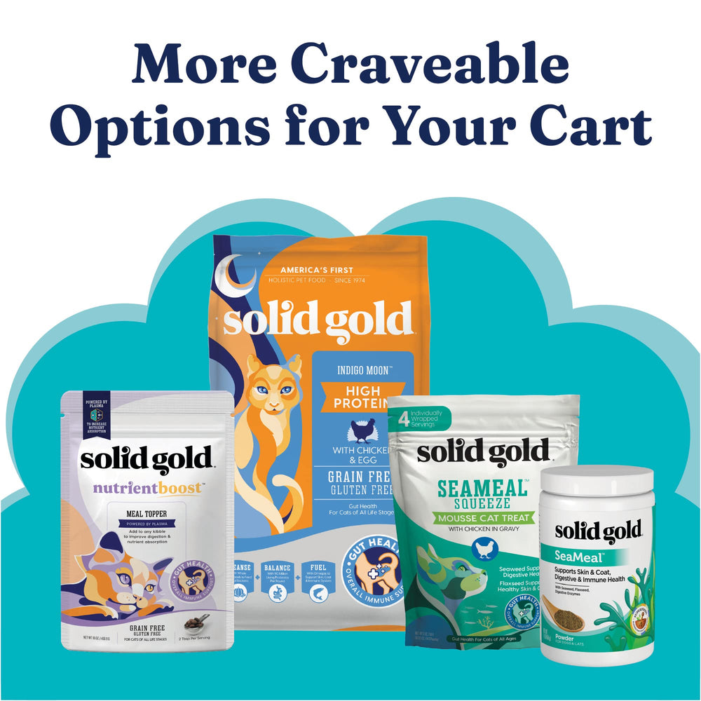 Solid Gold Tropical Blendz 16-pack box emphasizes value and convenience