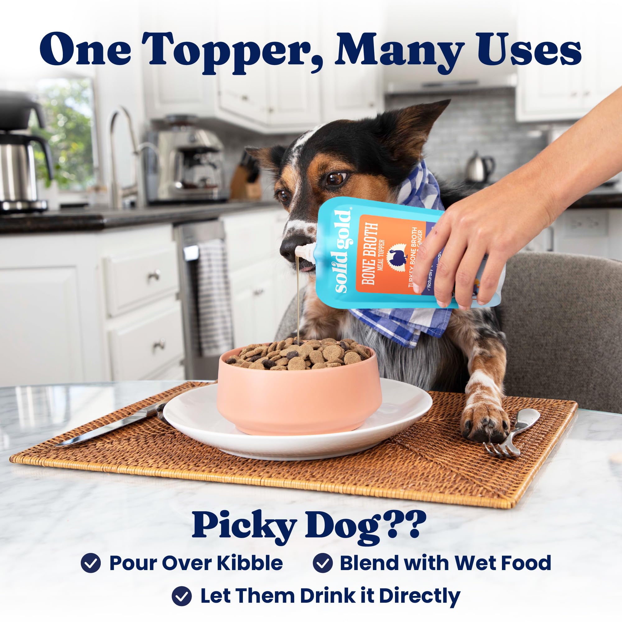 Solid Gold dog-drinking image suggests hydration from broth topper