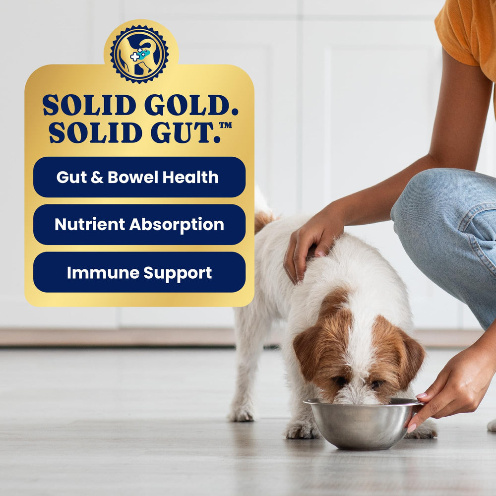 Solid Gold weight-management wet dog food fiber-rich ingredients; holistic nourishment for adult dogs.