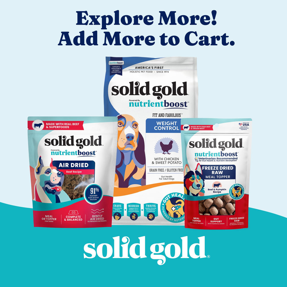 Solid Gold weight-management wet dog food full can; convenient packaging for regular feeding.