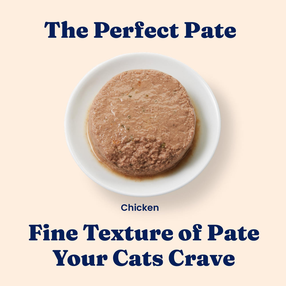 Solid Gold Wet Cat Food Pate texture appears smooth and easy to digest.