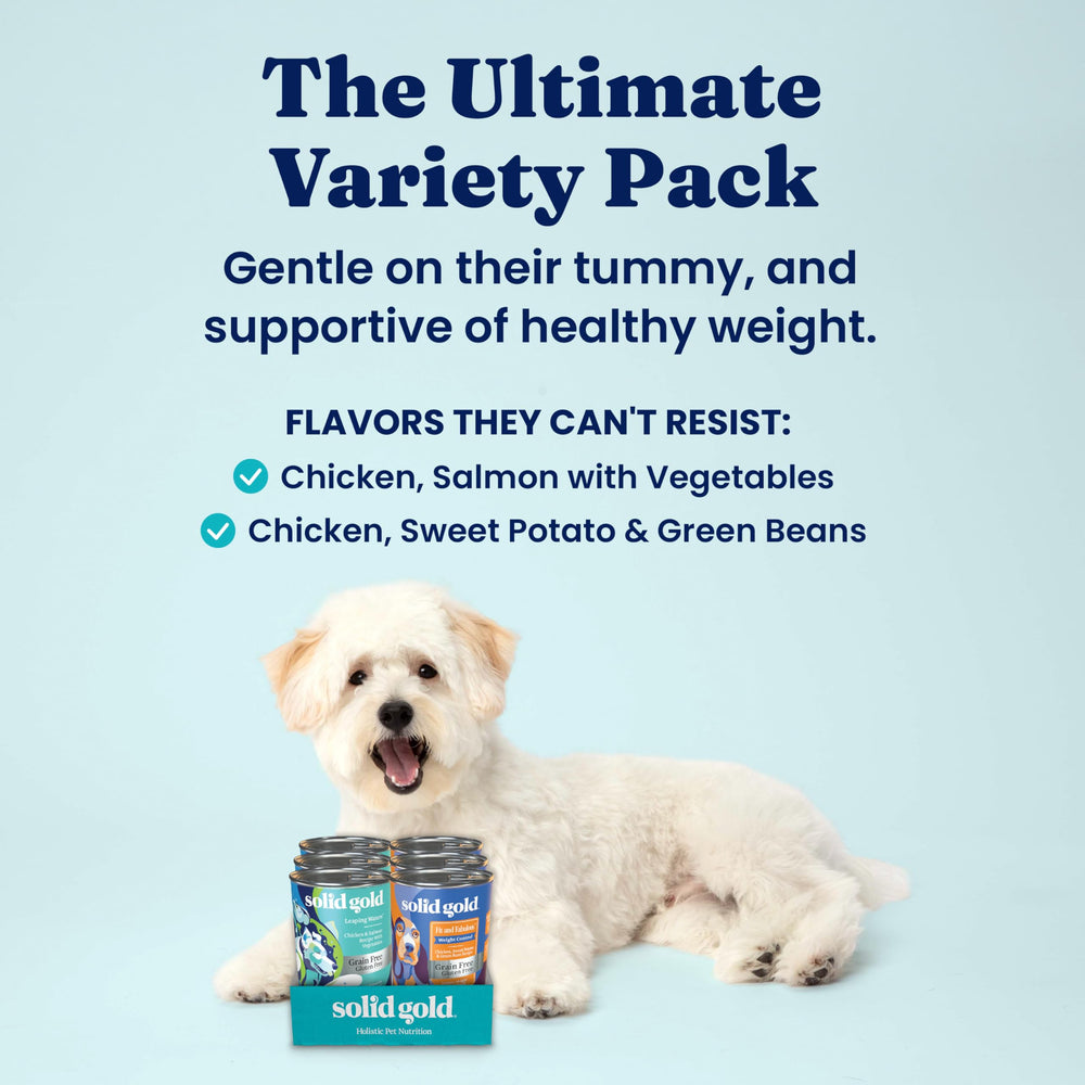Solid Gold wet dog food closeup-chunks highlights real protein and appealing texture.