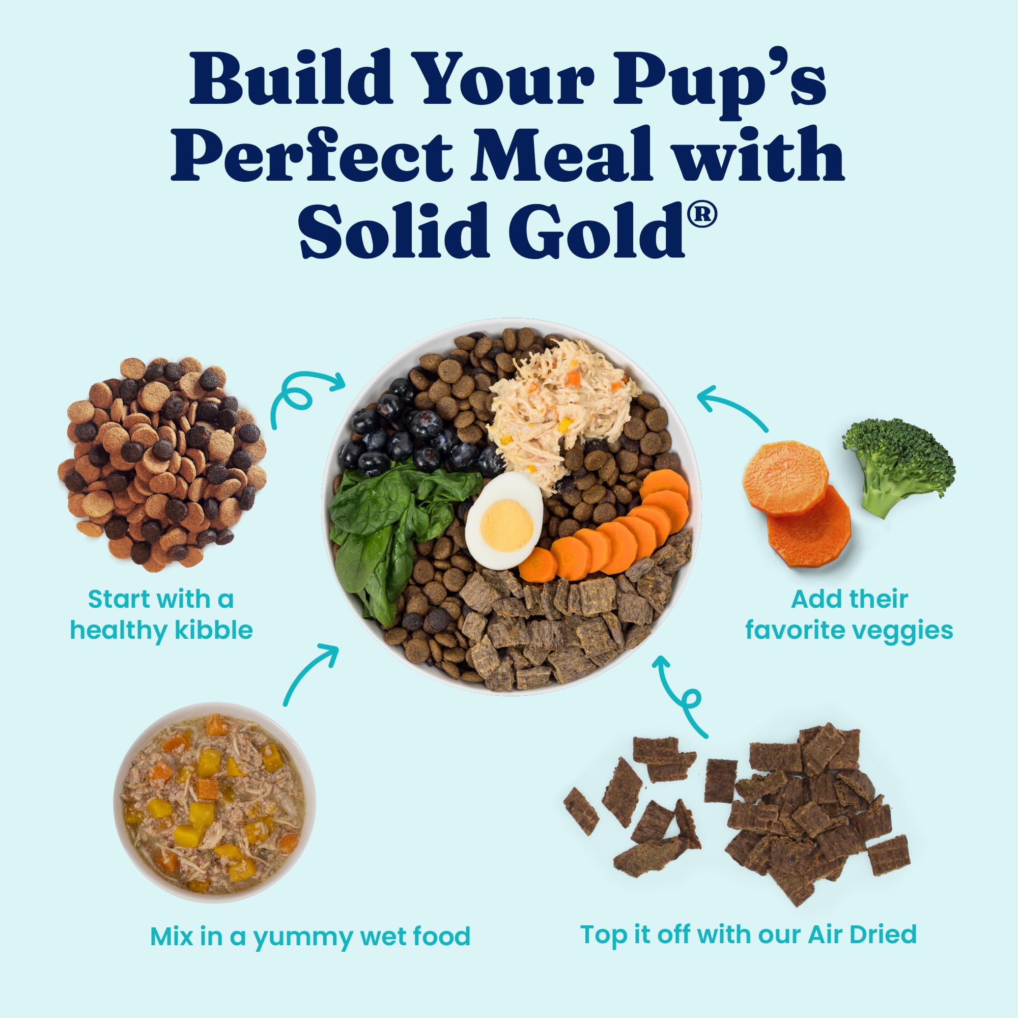 Solid Gold senior meal bowl shows easy portions for older dogs
