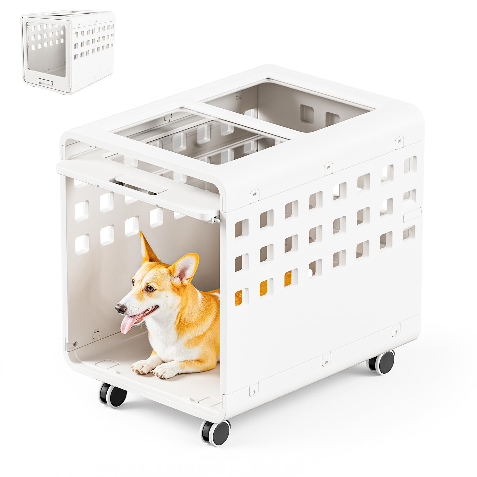 SOLOWINNER acrylic dog crate front view showcases stylish indoor kennel for small and medium dogs with comfort.
