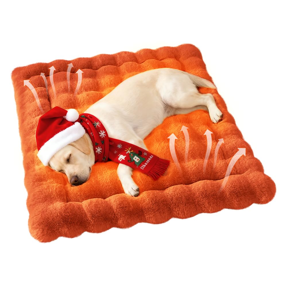SOMAHE cat bed orange plush top provides cozy warmth for indoor cats.