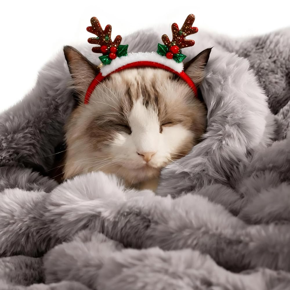 SOMAHE cat blanket ultra-soft plush closeup for cozy snuggles.