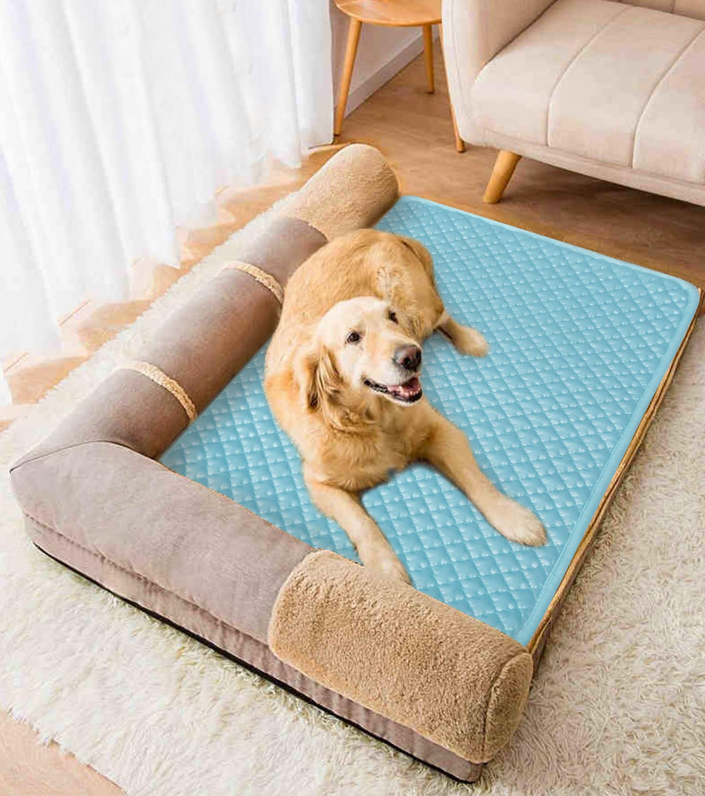 SOMOYA cooling mat available in multiple sizes for any breed