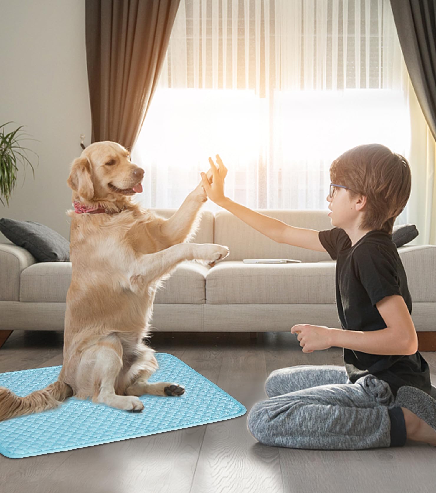 SOMOYA cooling mat kennel pad for sleeping pets