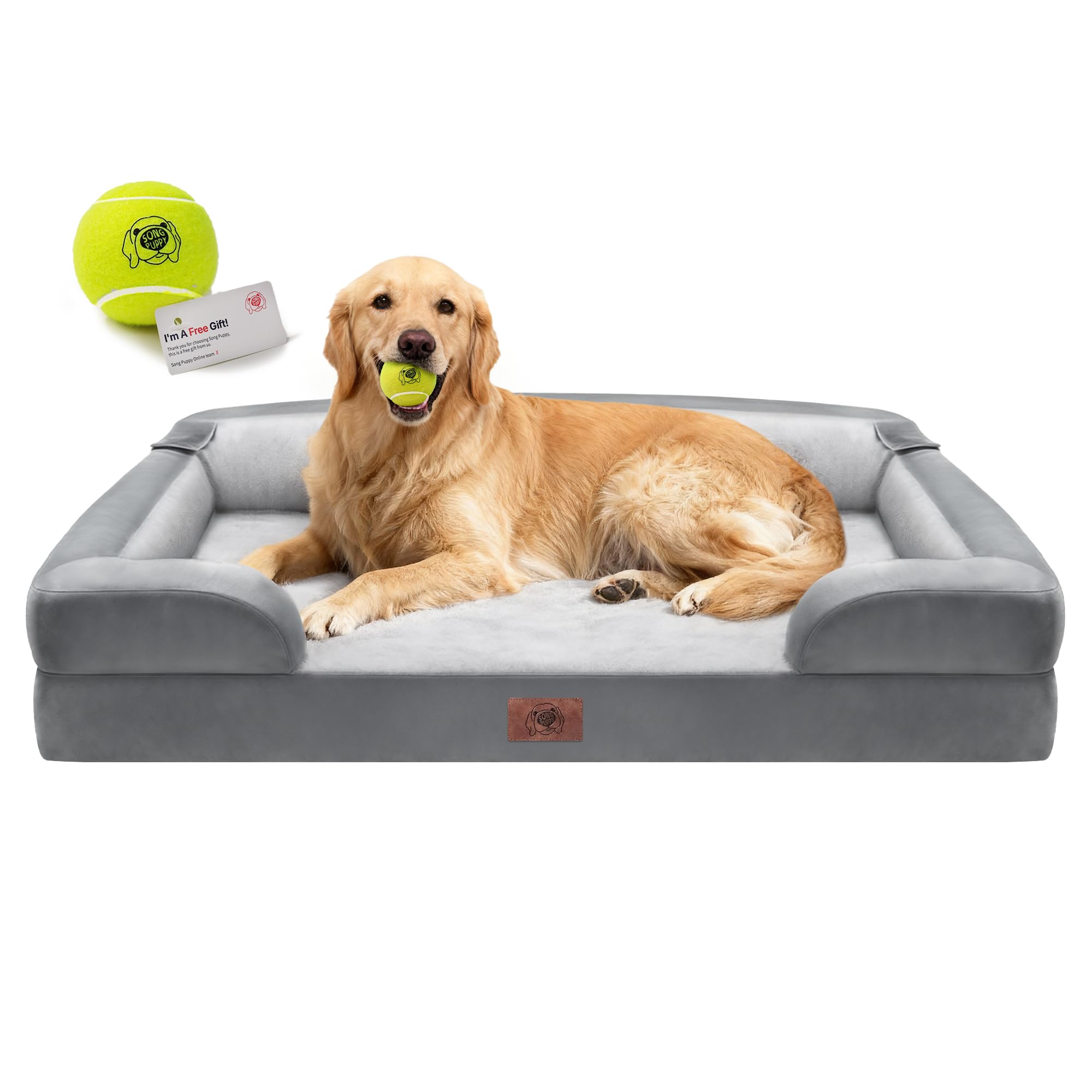 Song Puppy extra large bed hero shot highlights roomy space for big dogs' restful sleep.