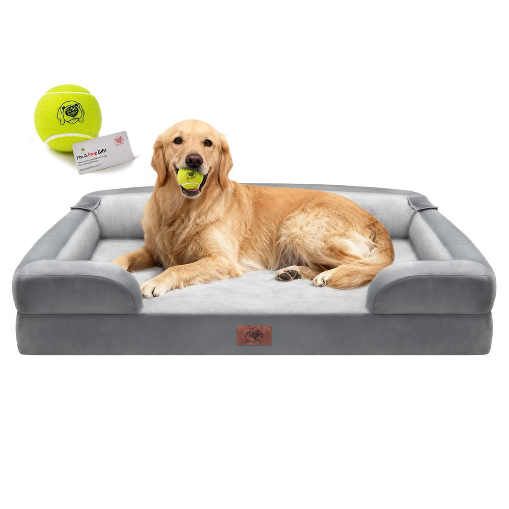 Song Puppy extra large bed hero shot highlights roomy space for big dogs' restful sleep.