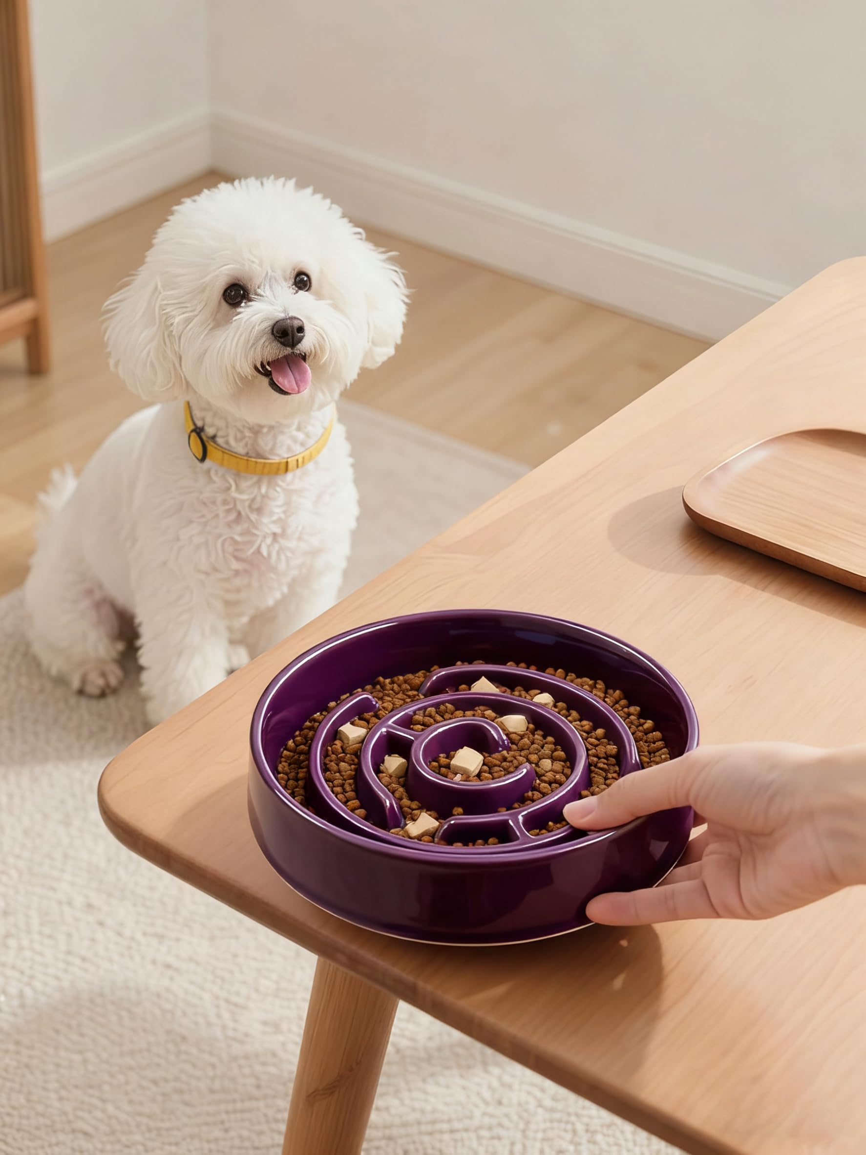 Soniuong puzzle dish supports mental stimulation during feeding.